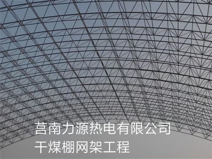 茂名力源热电有限公司干煤棚网架工程